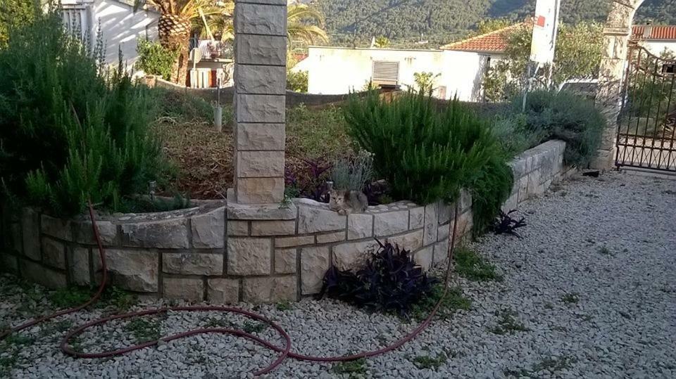 Room Rade Stari Grad  Dış mekan fotoğraf